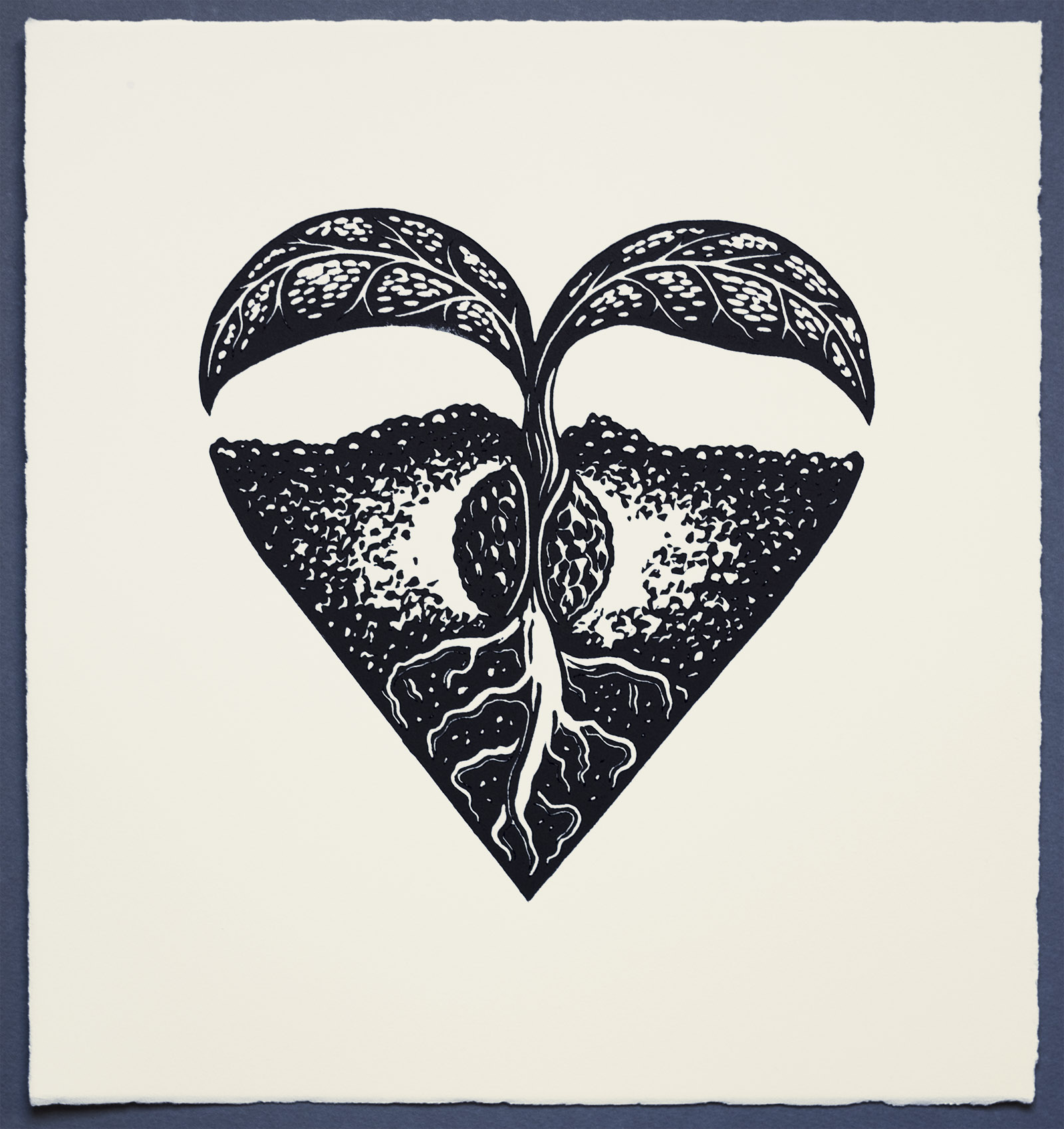 Sprout Heart, Lino Print on White Somerset paper, by Miles Glyn Art 