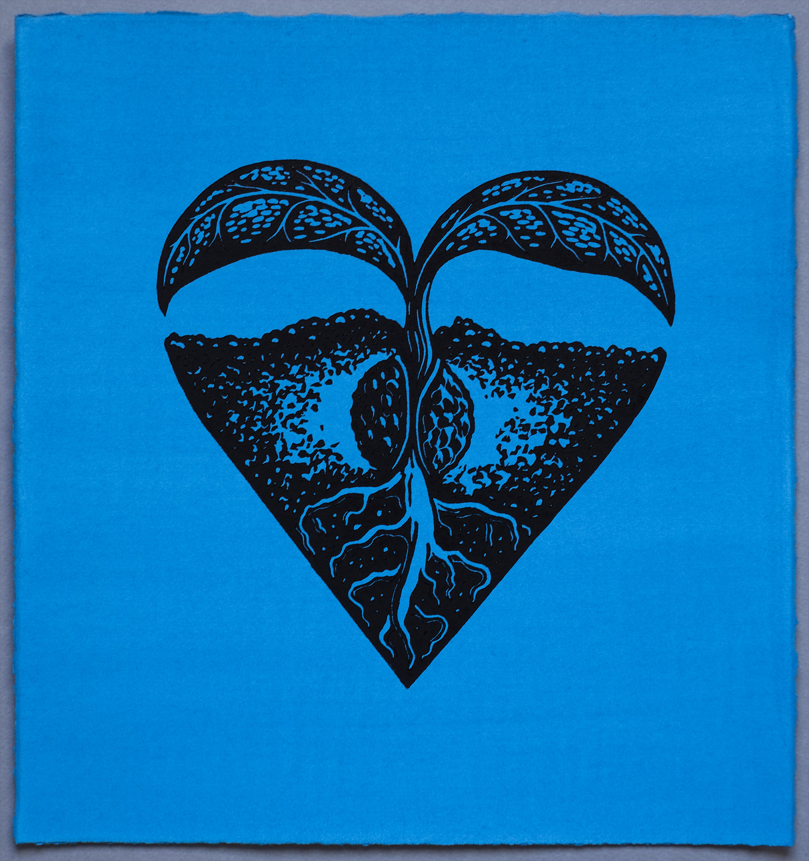 Sprout Heart, Lino Print on Cyan Turquoise hand painted Somerset paper, by Miles Glyn Art