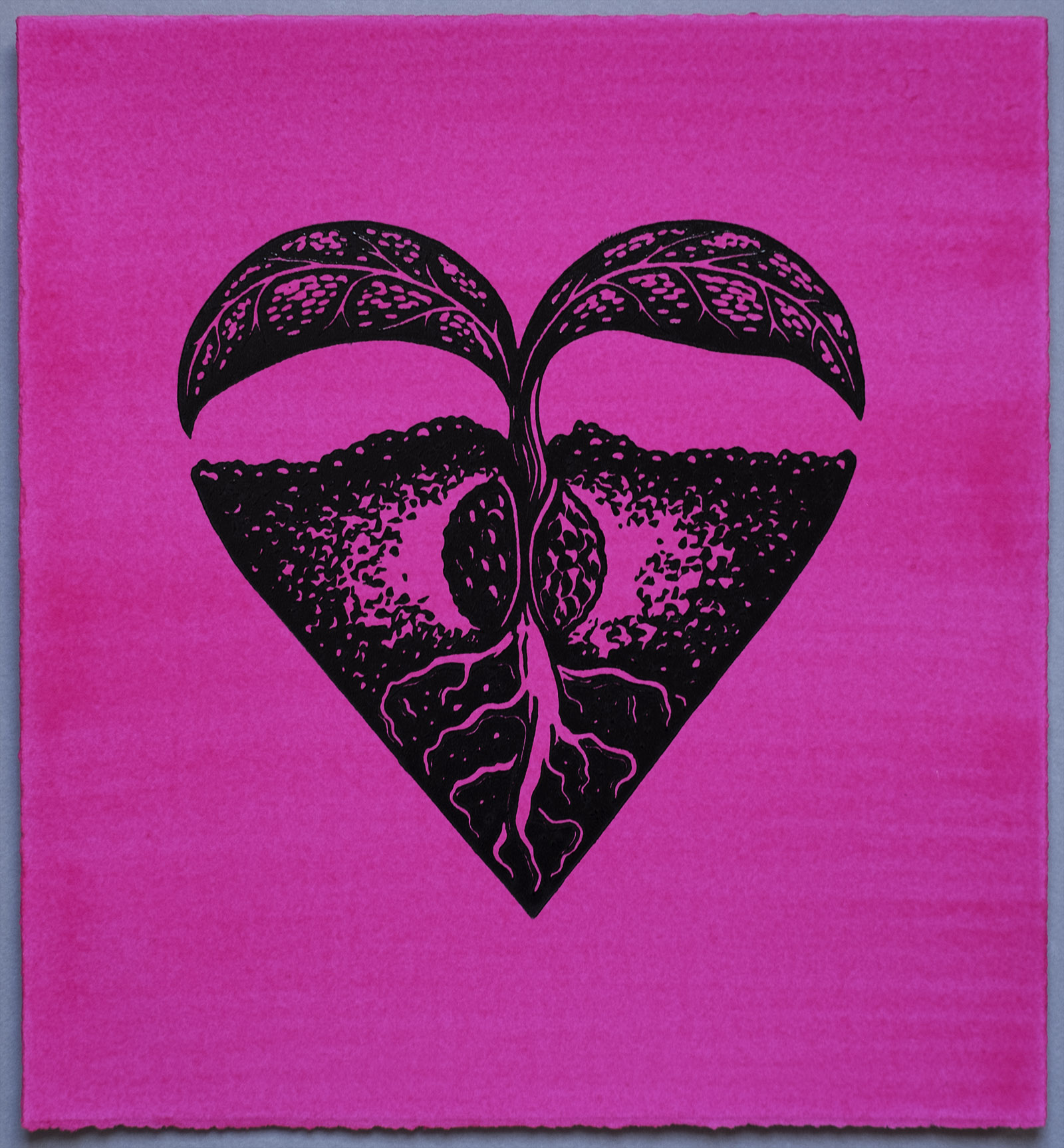 Sprout Heart, Lino Print on Magenta hand painted Somerset paper, by Miles Glyn Art
