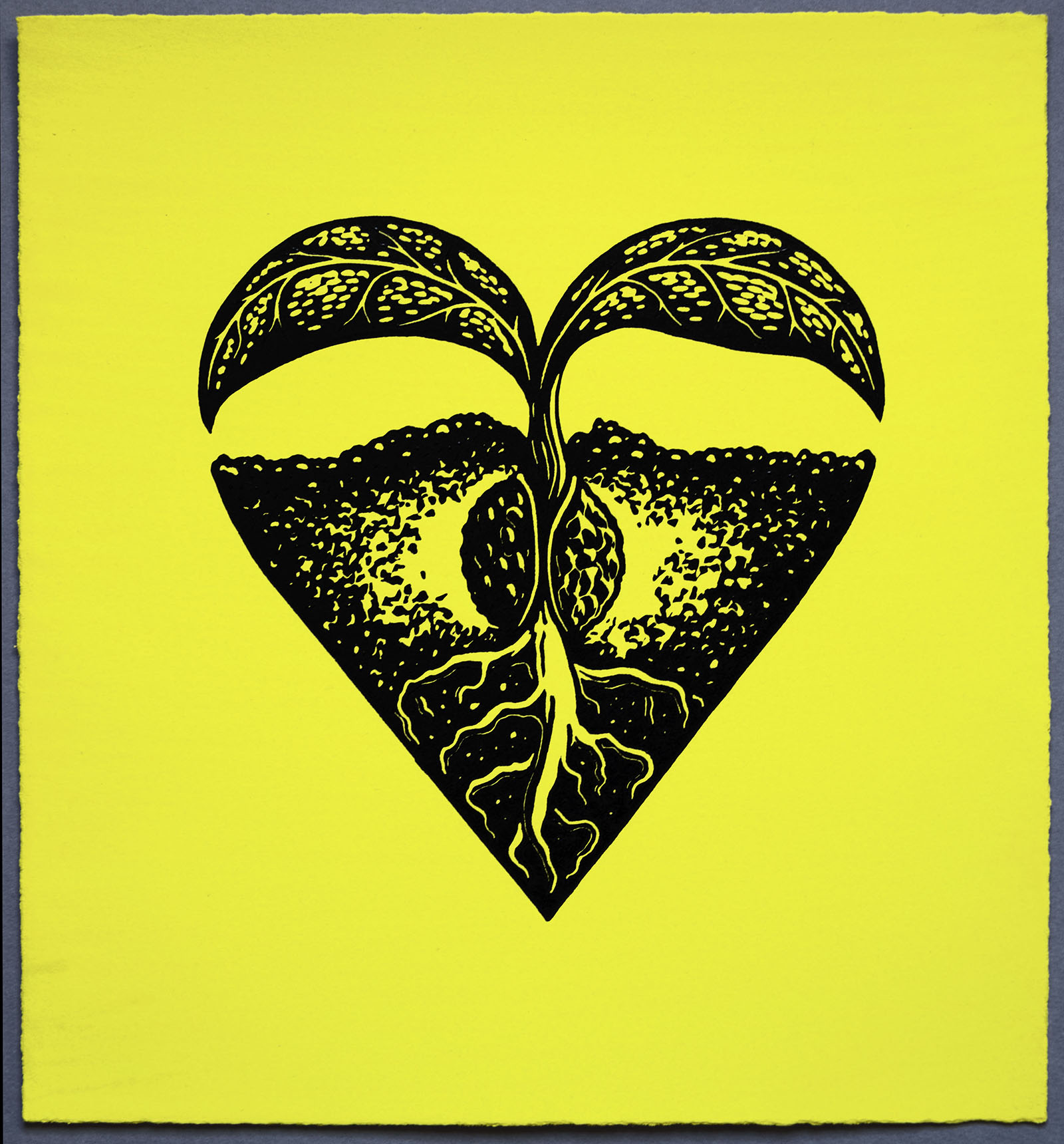 Sprout Heart, Lino Print on Yellow hand painted Somerset paper, by Miles Glyn Art