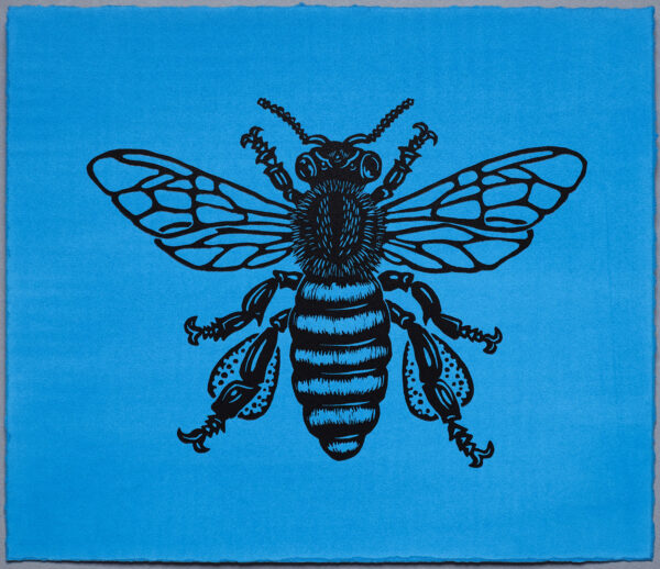 Bumble Bee Honey Bee XR Lino Print Lino Cut Wood Cut Art PrintMaking Extinction Rebellion Miles Glyn Artist Activist Nonviolence Direct Action Drawing Illustration