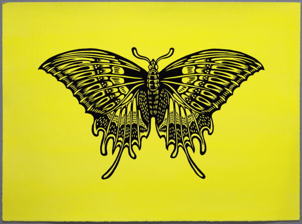 SwallowTail Butterfly XR Lino Print Lino Cut Wood Cut Art PrintMaking Extinction Rebellion Miles Glyn Artist Activist Nonviolence Direct Action Drawing Illustration