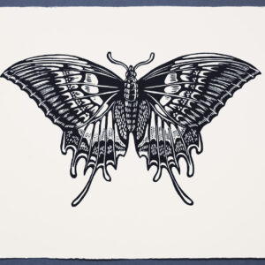 SwallowTail Butterfly XR Lino Print Lino Cut Wood Cut Art PrintMaking Extinction Rebellion Miles Glyn Artist Activist Nonviolence Direct Action Drawing Illustration