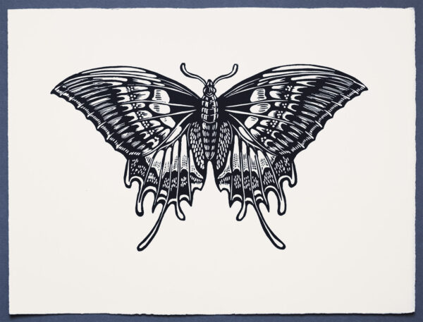 SwallowTail Butterfly XR Lino Print Lino Cut Wood Cut Art PrintMaking Extinction Rebellion Miles Glyn Artist Activist Nonviolence Direct Action Drawing Illustration