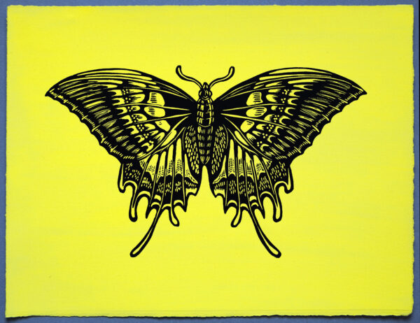 Butterfly XR Lino Print Art PrintMaking Extinction Rebellion Miles Glyn Artist Activist