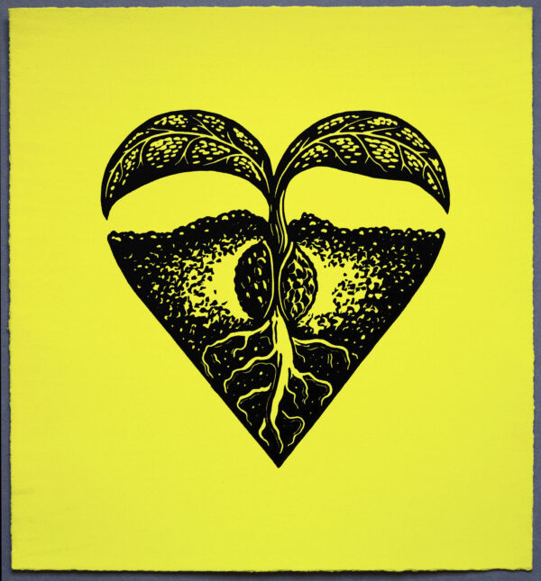 Sprout Heart Regeneration Restoration XR Lino Print Lino Cut Wood Cut Art PrintMaking Extinction Rebellion Miles Glyn Artist Activist Nonviolence Direct Action Drawing Illustration