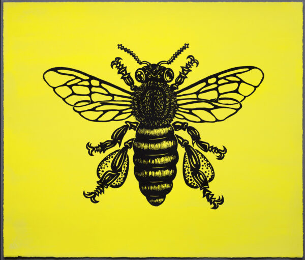Honey Bee Bumble Bee Momento Mori XR Lino Print Lino Cut Wood Cut Art PrintMaking Extinction Rebellion Miles Glyn Artist Activist Nonviolence Direct Action Drawing Illustration