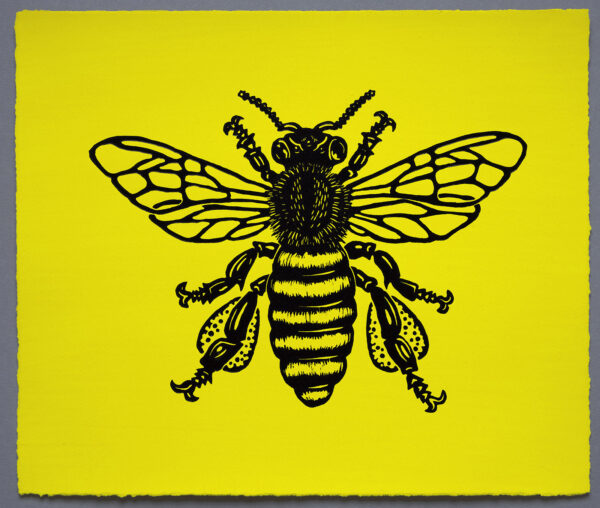 Bumble Bee Honey Bee XR Lino Print Lino Cut Wood Cut Art PrintMaking Extinction Rebellion Miles Glyn Artist Activist Nonviolence Direct Action Drawing Illustration