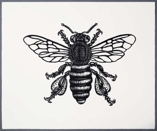 Bee XR Lino Print Art PrintMaking Extinction Rebellion Miles Glyn Artist Activist