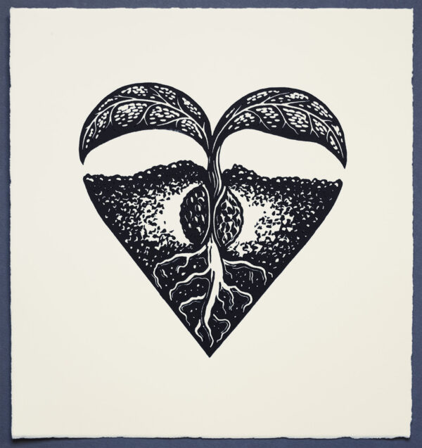 Heart Sprout Regeneration Restoration XR Lino Print Lino Cut Wood Cut Art PrintMaking Extinction Rebellion Miles Glyn Artist Activist Nonviolence Direct Action Drawing Illustration